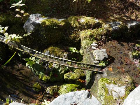 曹源池庭園