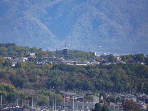 仁和寺