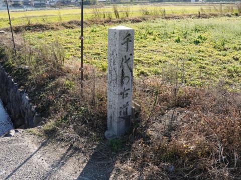 千代の古道