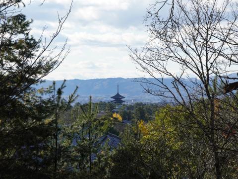 興福寺五重塔