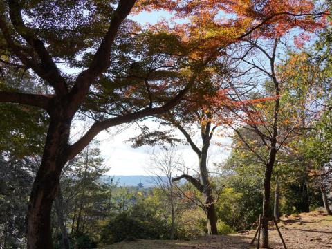 茶山園地