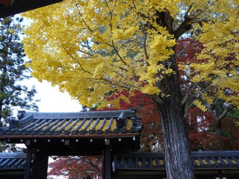 手向山八幡宮
