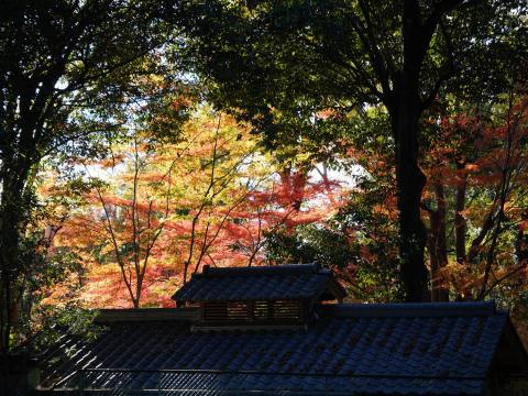 吉城園