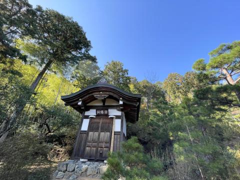 謌僊祠