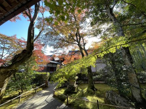 常寂光寺本堂