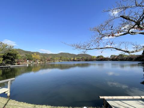 大沢池