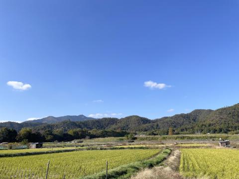 愛宕山