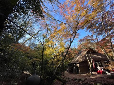 水谷茶屋