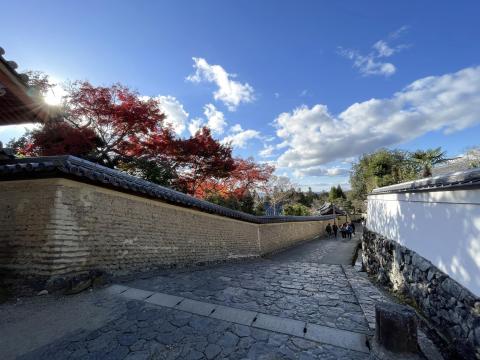 二月堂裏参道
