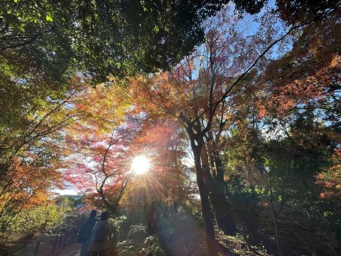 吉城園