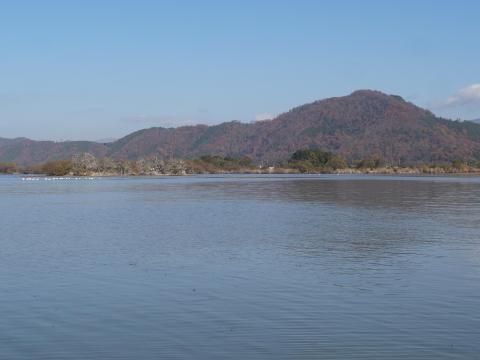 山本山