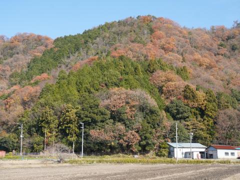 山本山の麓