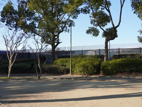 ヤンマーフィールド長居
