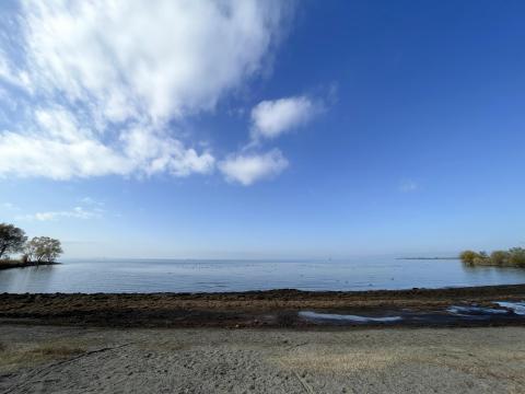 豊公園の浜