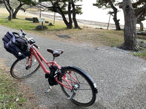 Yamaha Vienta