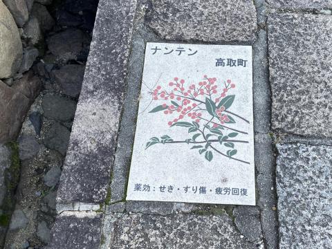薬草のタイル絵