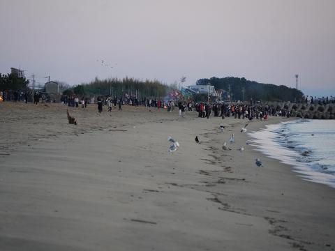 豊津浦海岸