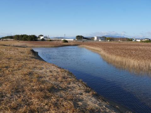 千里湿地