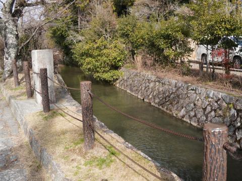 哲学の道