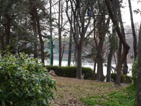 桃山公園