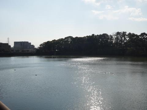 新宮池