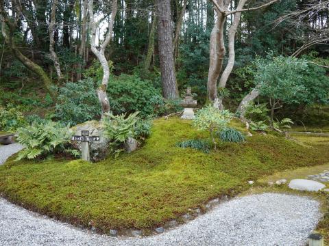 苔の庭