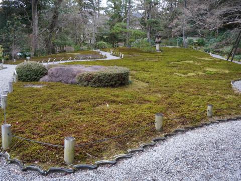 苔の庭