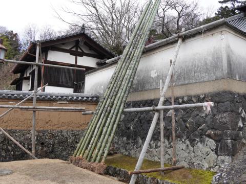 松明の竹