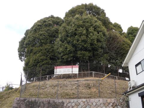 頭塔