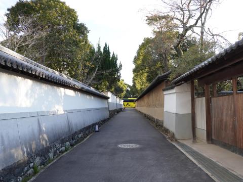 吉城園西側の道