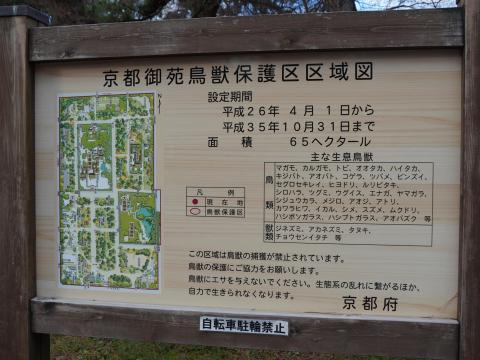 京都御苑