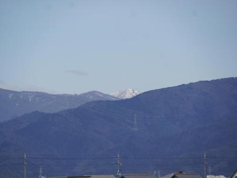 金糞岳