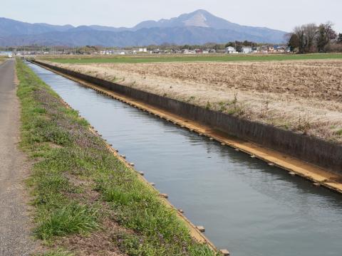 伊吹山と水路