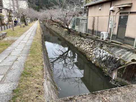 白川疏水通