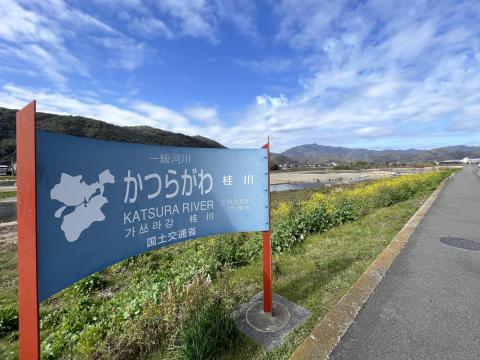 桂川