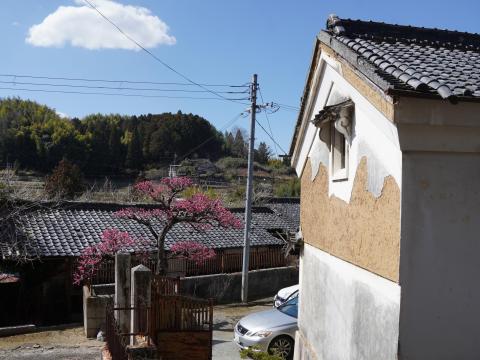 旧延壽堂製薬