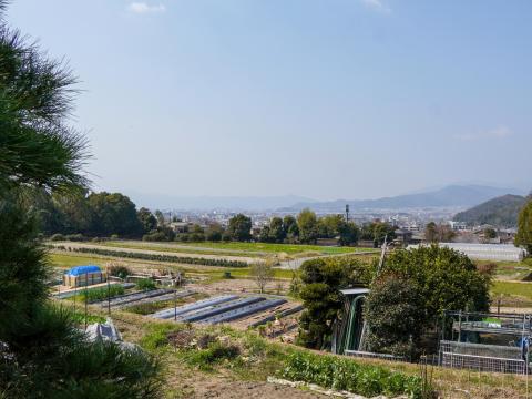 田園