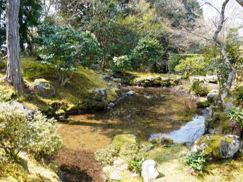 楽只軒の庭園