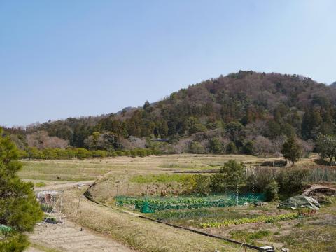 修学院山