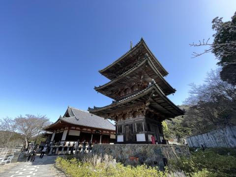 三重塔と礼堂