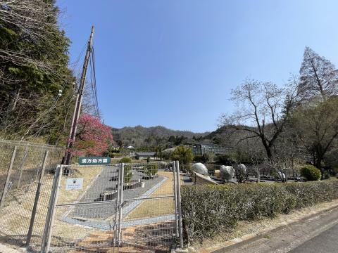 薬用植物園