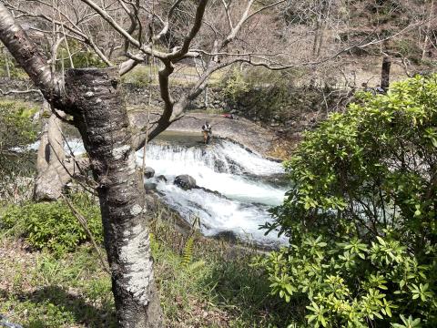 高野川