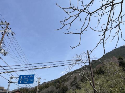 若狭街道