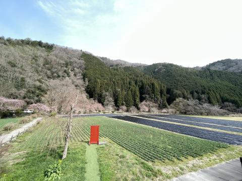 志季彩の道