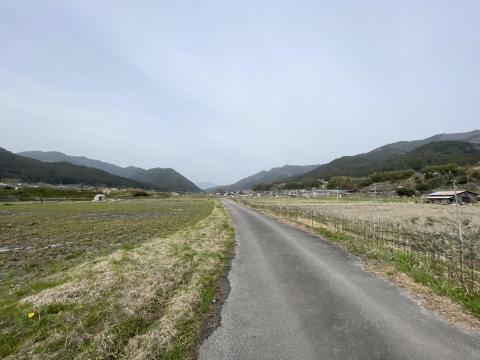 大原
