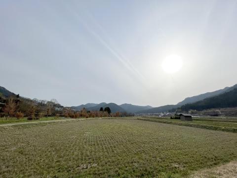 大原