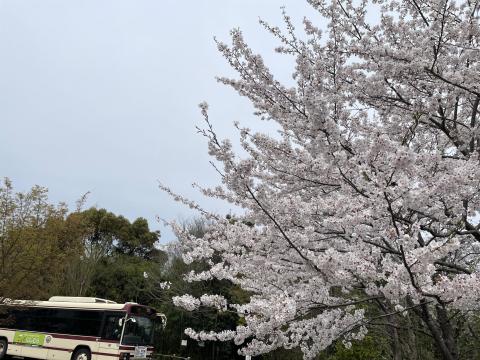 嵐山駅前