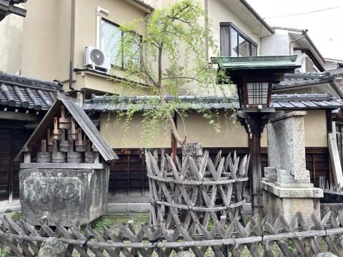 出口の柳