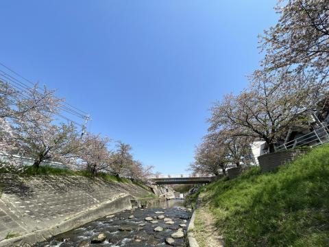 佐保川