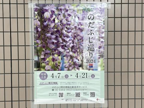 のだふじ巡り